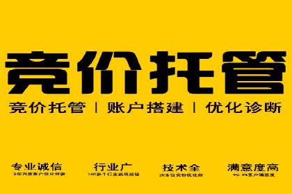 SEM广告投放案例：提升网站流量与转化